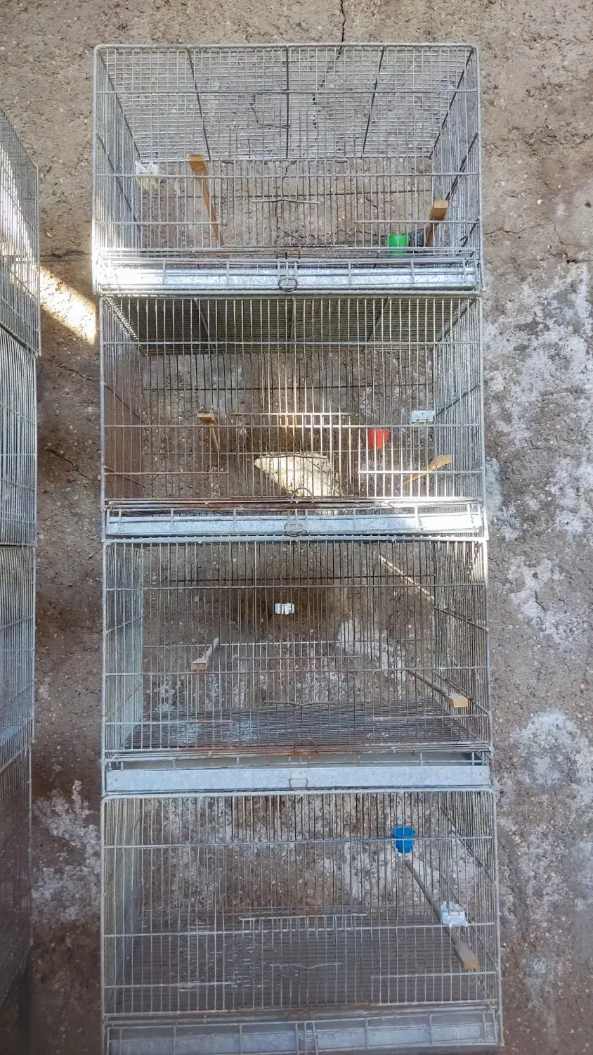 قفس چهار خان|لوازم جانبی حیوانات|شوشتر, |دیوار