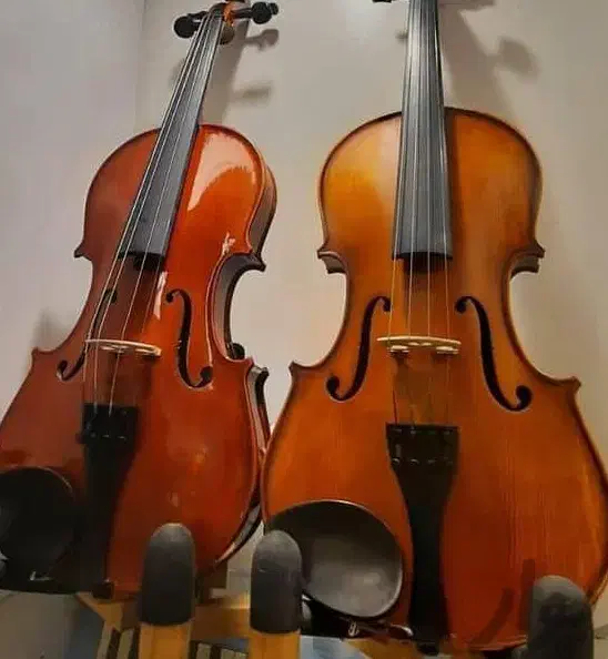 ویولن تی اف|ویولن|تهران, گلستان (شهرک راه آهن)|دیوار