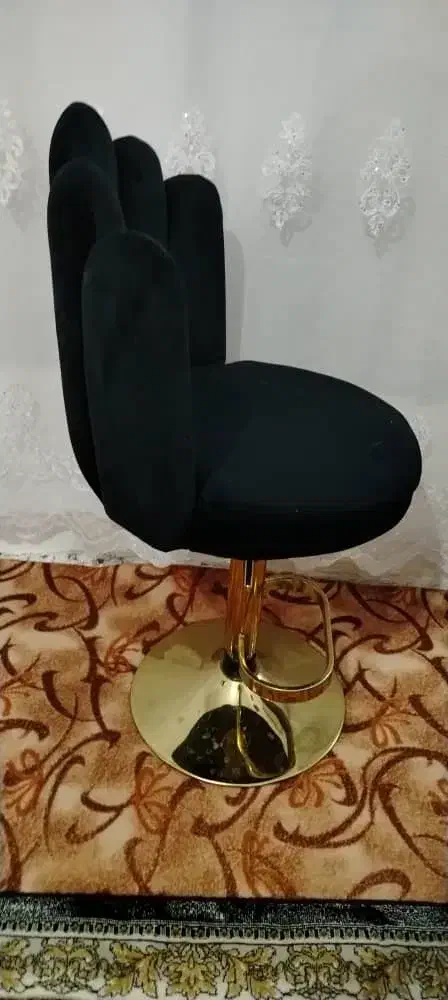 انواع صندلی ترول آینه های ارایشی|آرایشگاه و سالنهای زیبایی|اشنویه, |دیوار