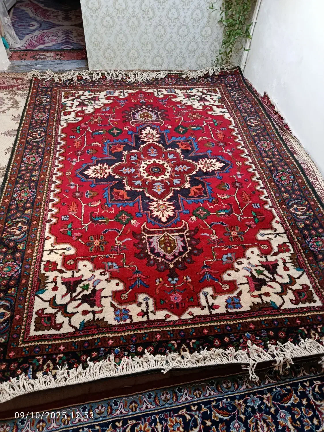 فرش دستباف یک جفت|فرش|تبریز, |دیوار