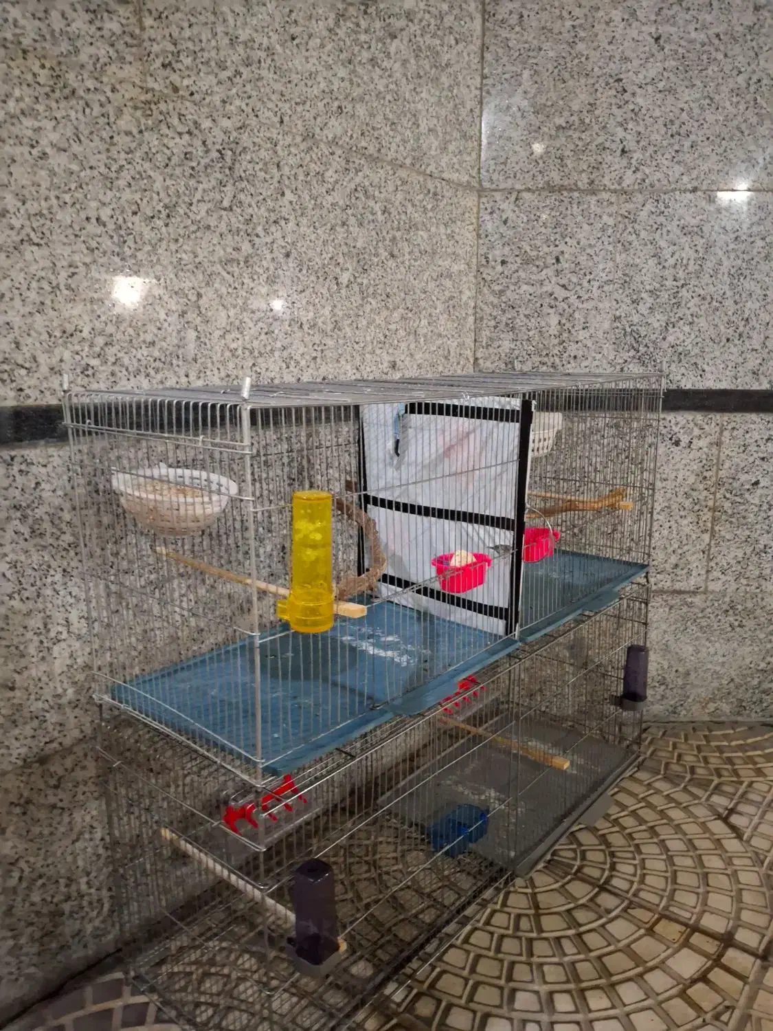 قفس جوجه پران|لوازم جانبی حیوانات|ارومیه, |دیوار