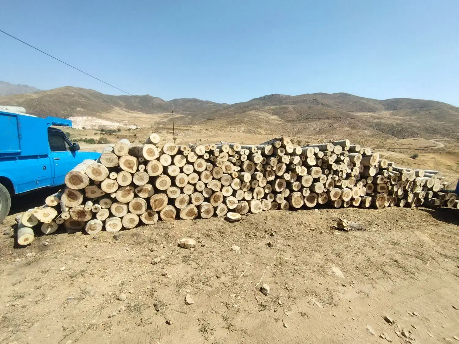 خریدار نقدی انواع چوب باغی وجنگلی|خدمات باغبانی و درختکاری|ارومیه, |دیوار