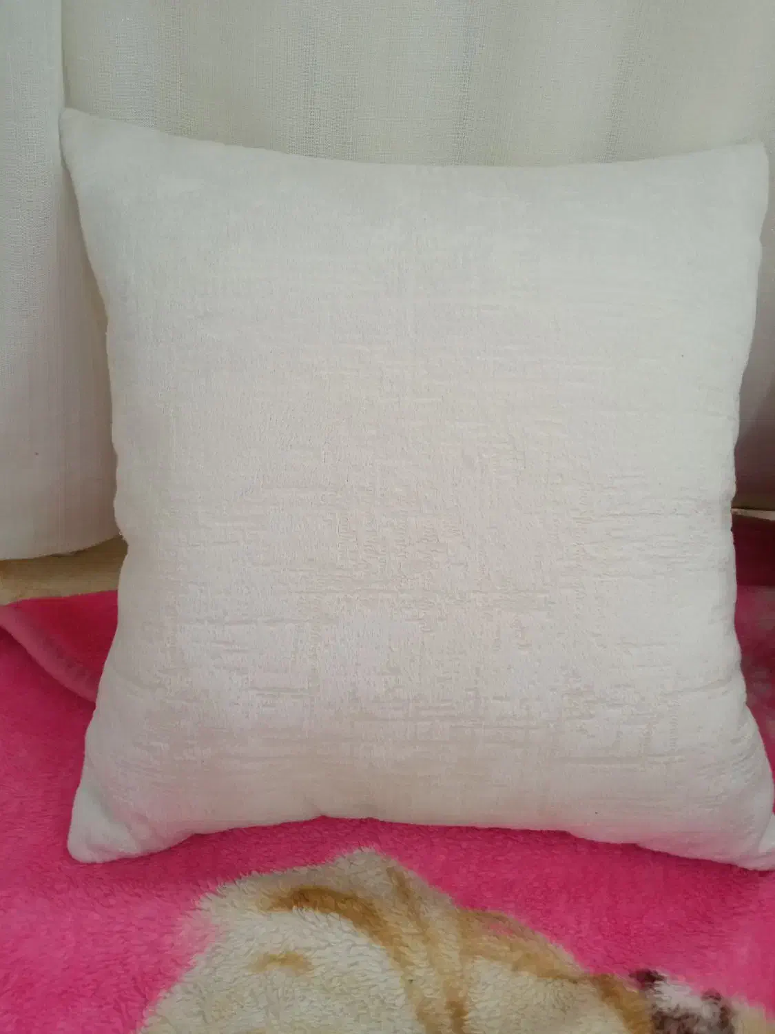 4عددکوسن|مبلمان خانگی و میز عسلی|گلبهار, شهر جدید گلبهار|دیوار