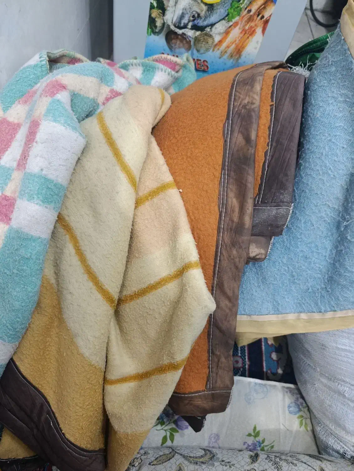 ۴ عدد پتو|رختخواب، بالش، پتو|بم, |دیوار