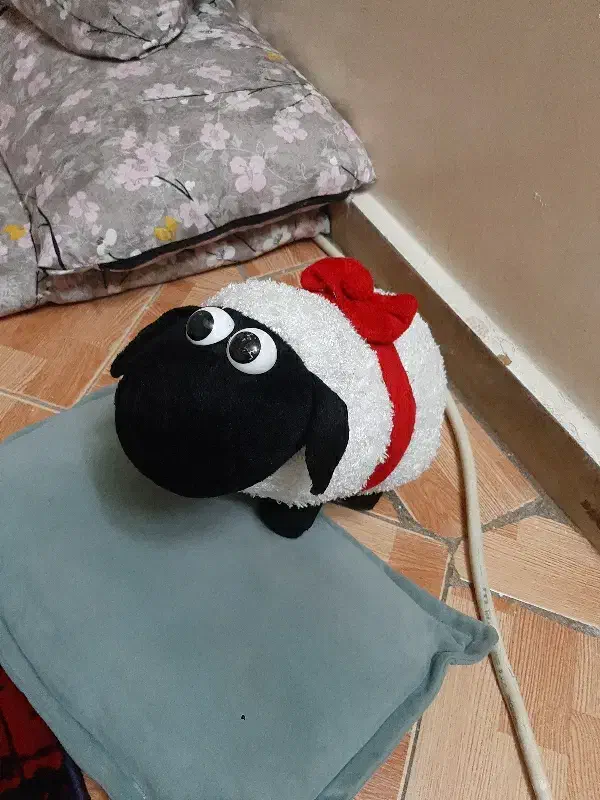 عروسک بره ناقلا|اسباب‌‌بازی|تهران, جوادیه تهرانپارس|دیوار