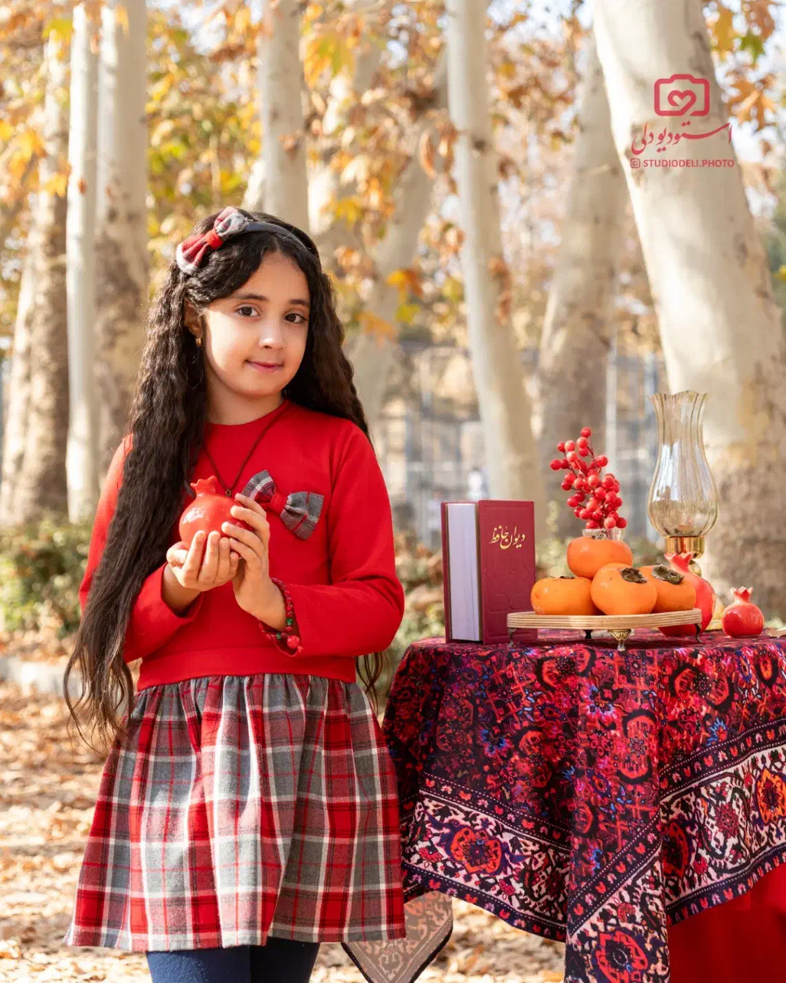 عکاسی یلدا توسط خانم|خدمات پذیرایی، مراسم|مشهد, ویلاشهر|دیوار