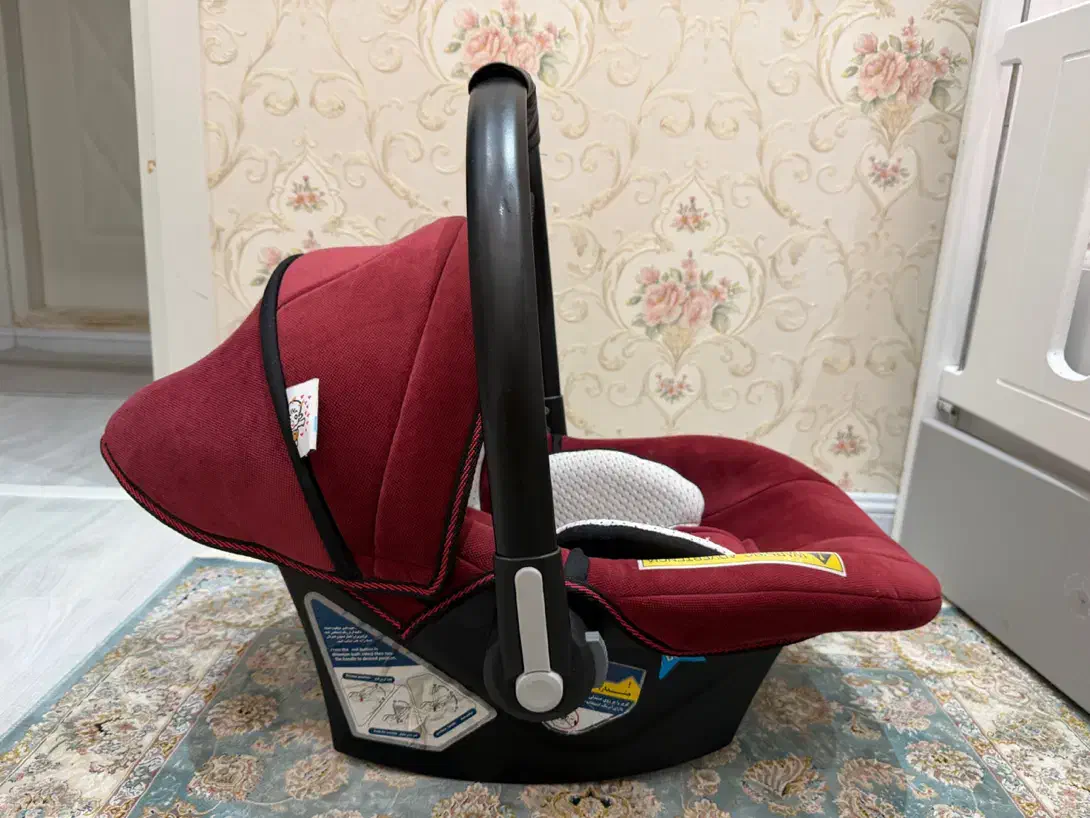 کریر دلیجان و گهواره اسپرینگ|کالسکه و لوازم جانبی|رشت, کاکتوس|دیوار