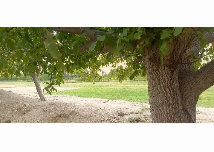 فروش زمین کشاورزی در فیروزکوه|فروش دفتر صنعتی، کشاورزی، تجاری|فیروزکوه, |دیوار