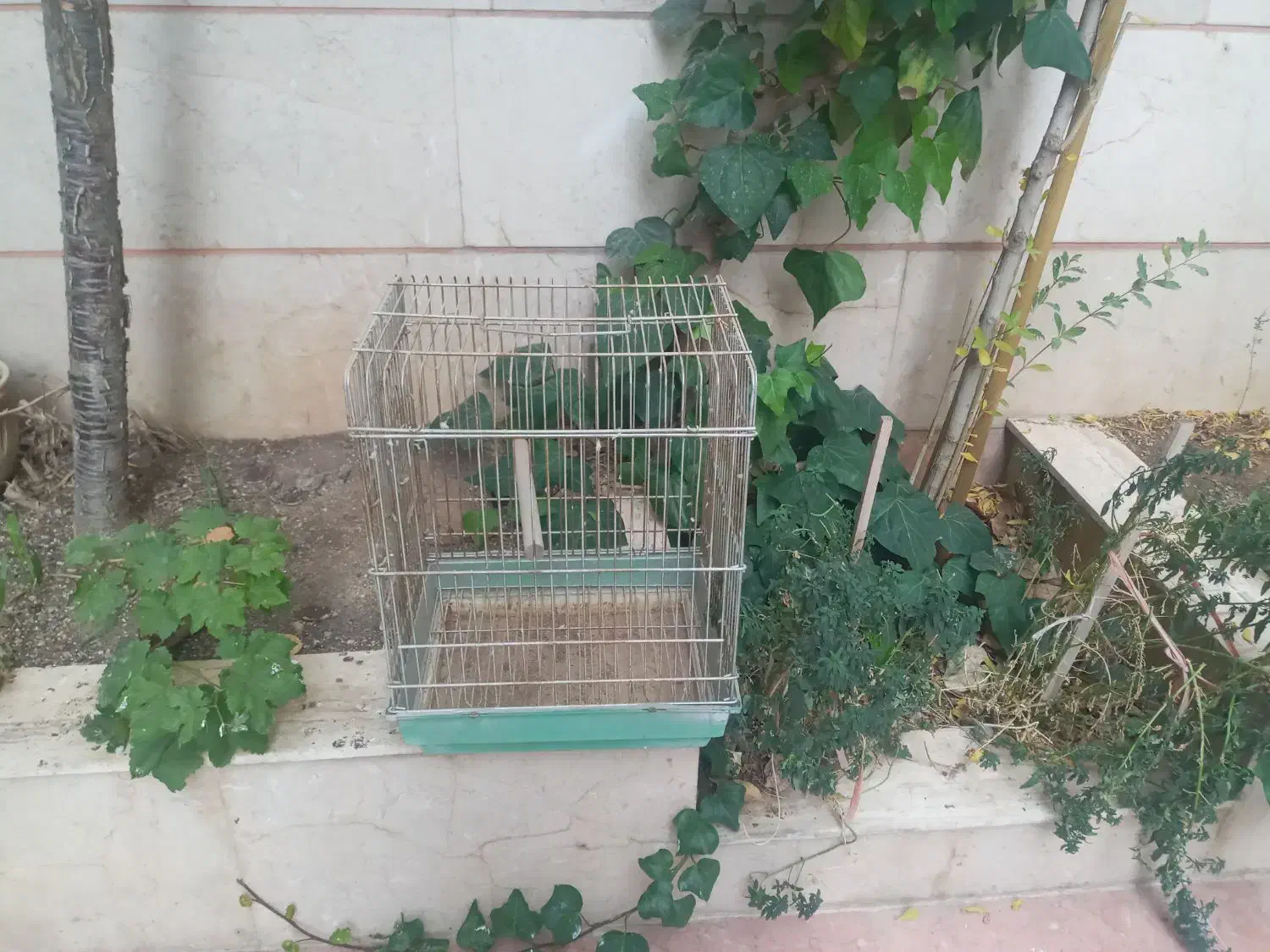 فروش قفس پرنده دست دوم|لوازم جانبی حیوانات|قزوین, |دیوار