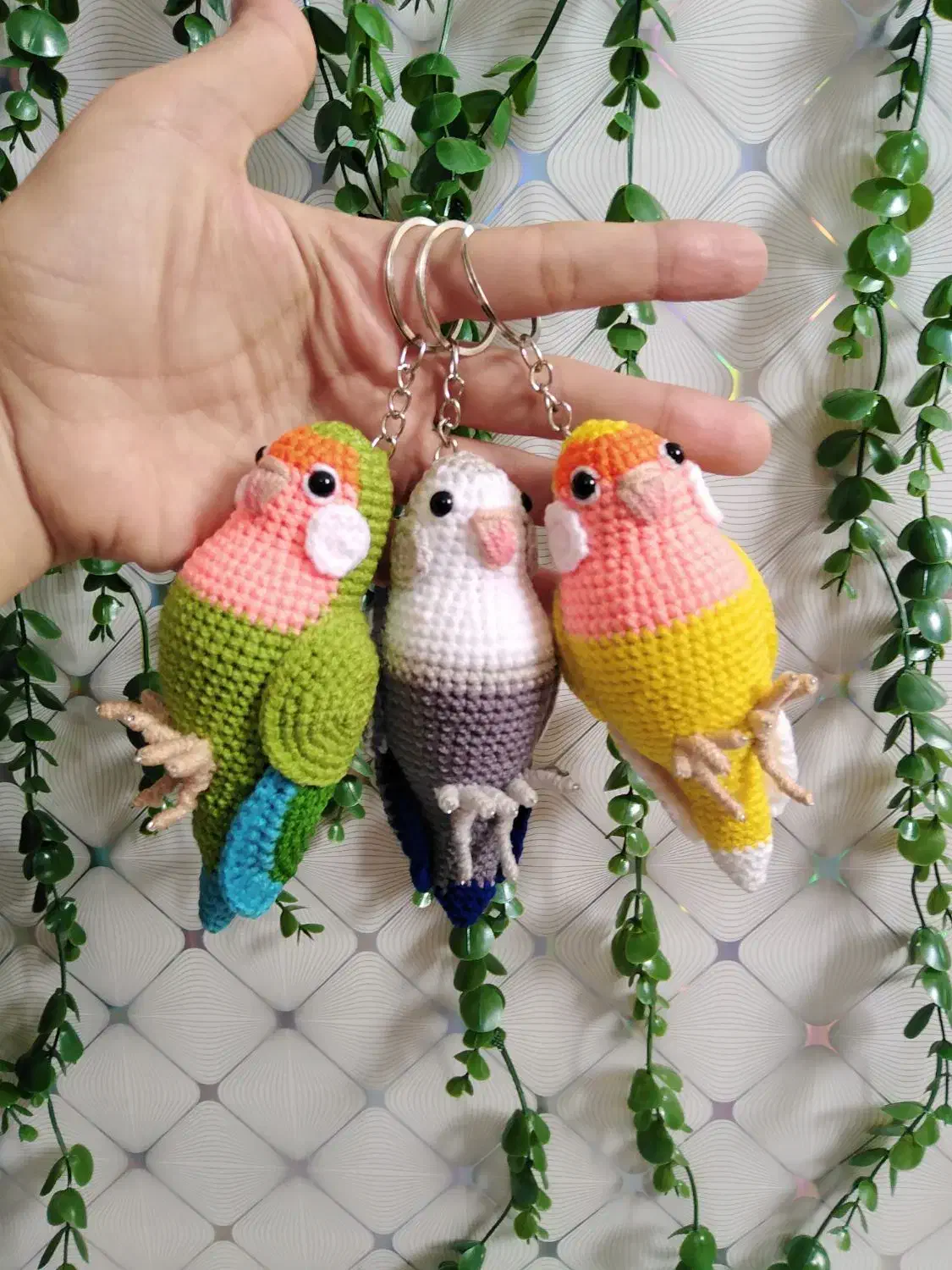 طوطی کوتوله بافتنی|کلکسیون و سرگرمی|نیشابور, هفده شهریور|دیوار