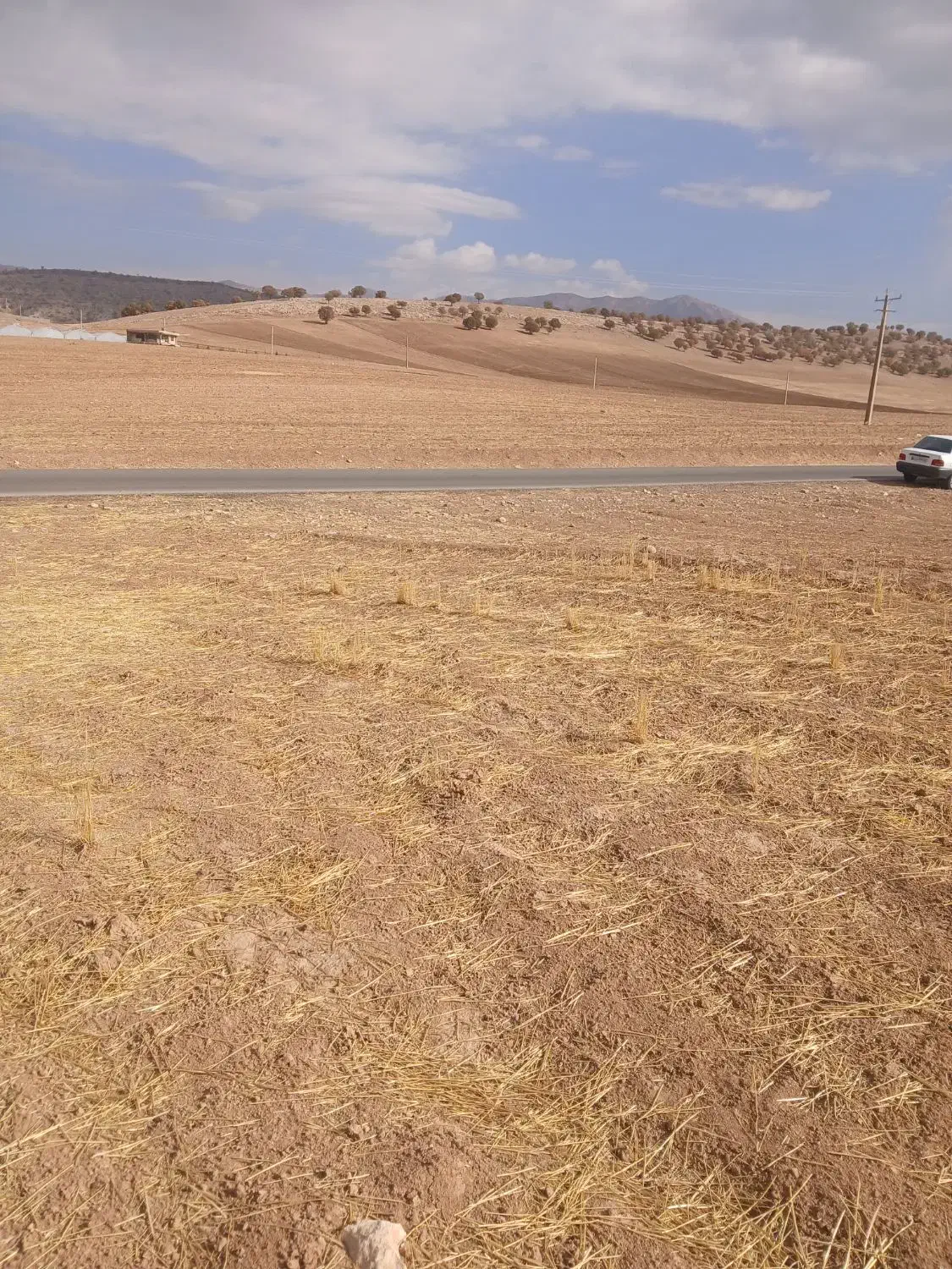 زمین باغ ویلا ومخصوص طرح گل خانه|فروش دفتر صنعتی، کشاورزی، تجاری|خرم‌آباد, |دیوار