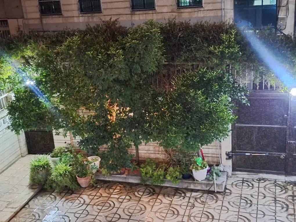 ۱۹۵متر ،۲خواب ،منطقه۲،توحید