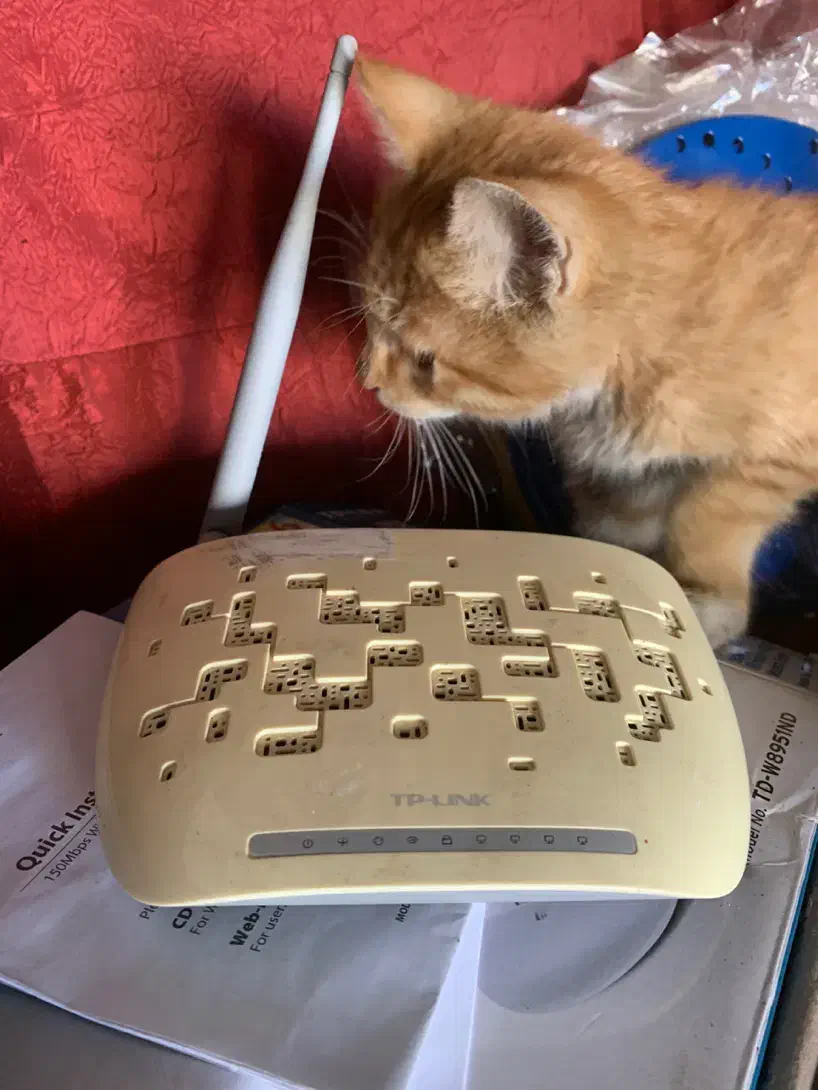 مودم اینترنت TP-Link|مودم و تجهیزات شبکه|قوچان, |دیوار