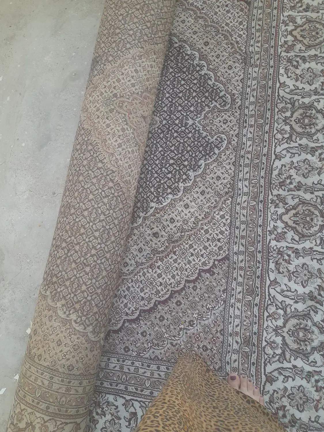 فرش تلوزیون گاز|فرش|آق قلا, |دیوار