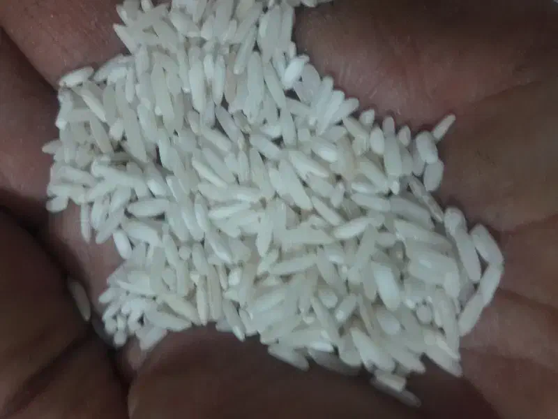 فروش برنج ایرانی|خوردنی و آشامیدنی|رباط‌کریم, نصیرشهر|دیوار