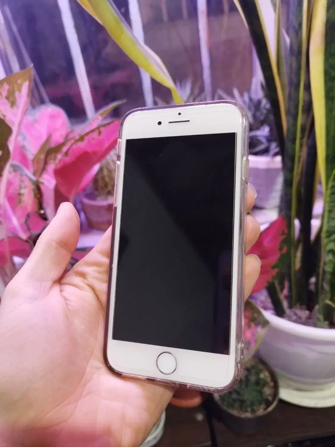 گوشی|موبایل|لنگرود, |دیوار