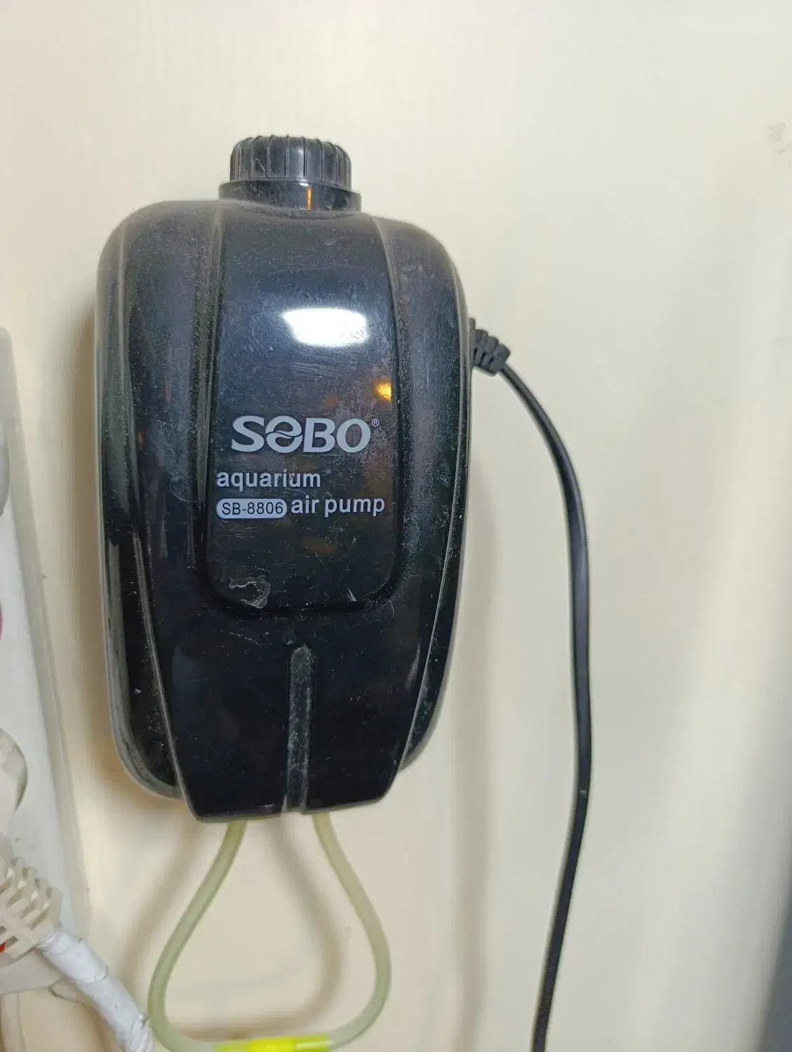 آکواریوم با لوازم|ماهی|تبریز, |دیوار