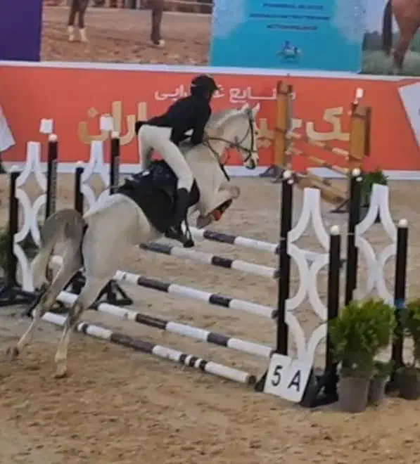 اسب دوسر خارجی پرشی|اسب و تجهیزات اسب‌سواری|باقرشهر, |دیوار