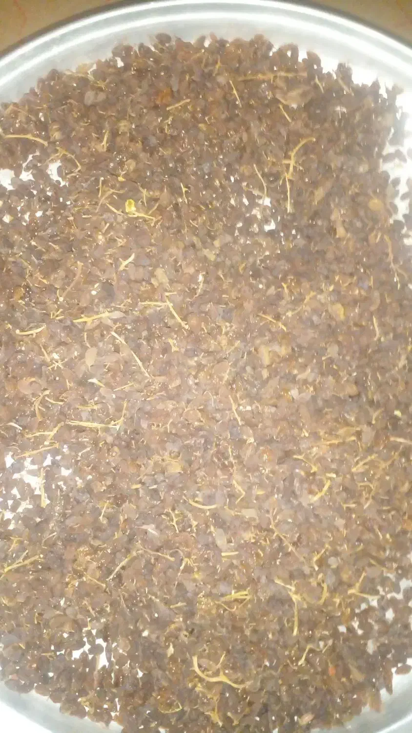 خشکبار|خوردنی و آشامیدنی|سپیدان, |دیوار