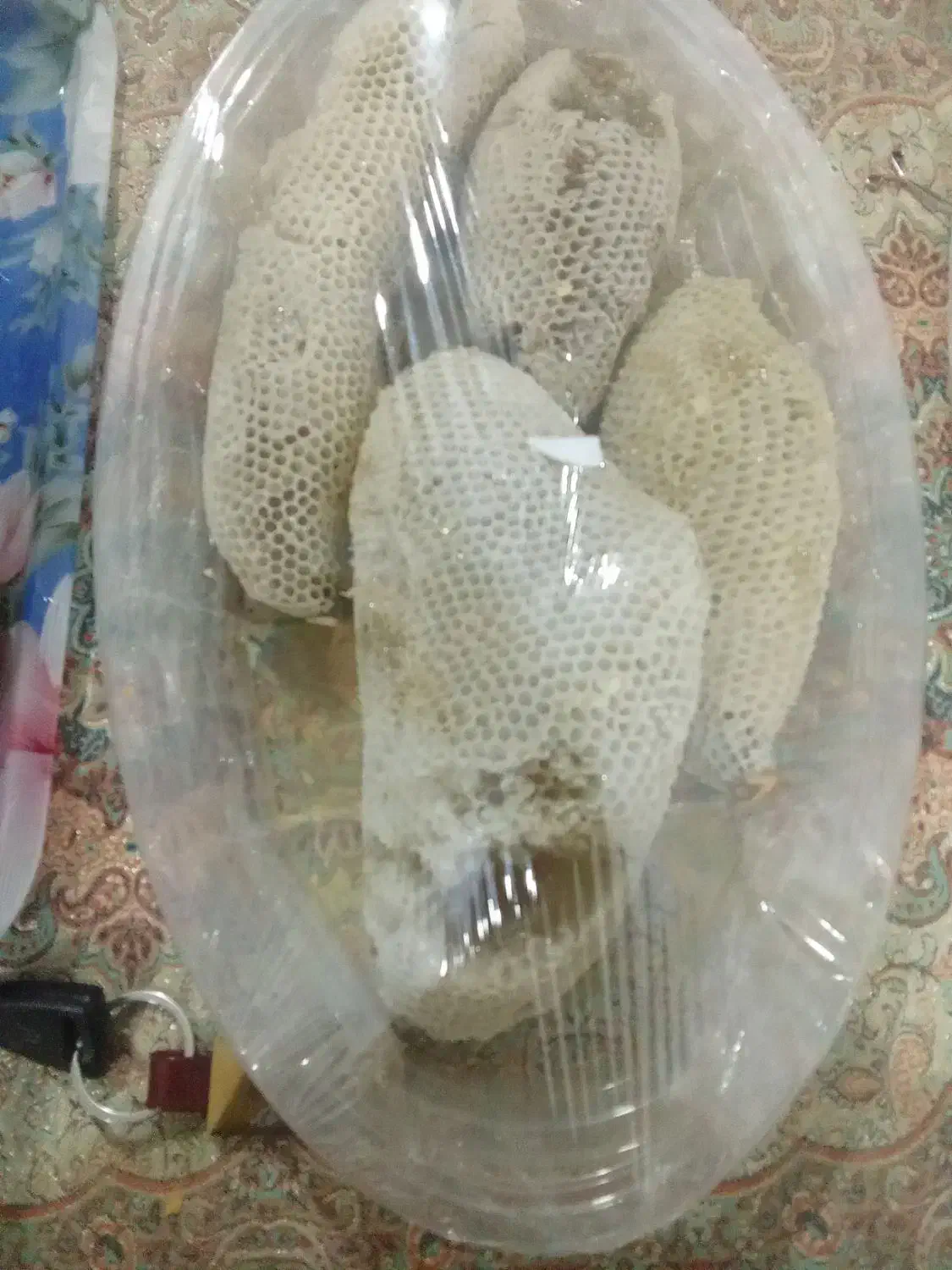 فروش عسل کوهی درجه یک|خوردنی و آشامیدنی|زرین دشت (فارس), |دیوار