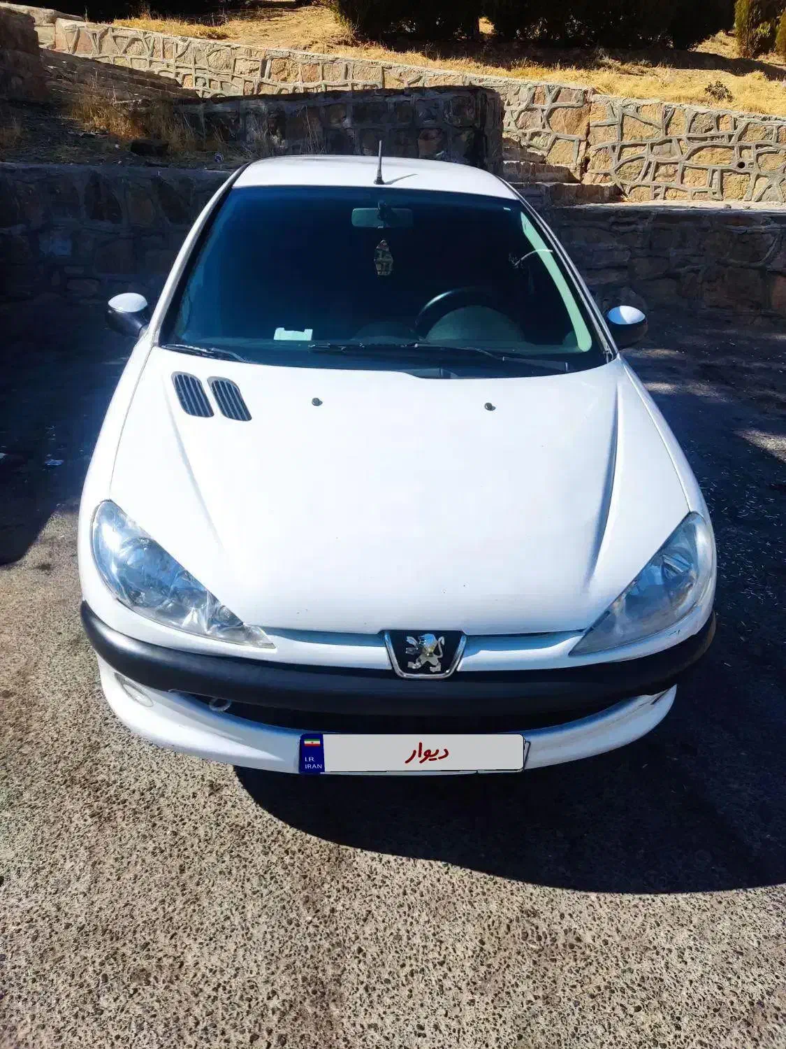 206sd.v8|خودرو سواری و وانت|سنندج, |دیوار