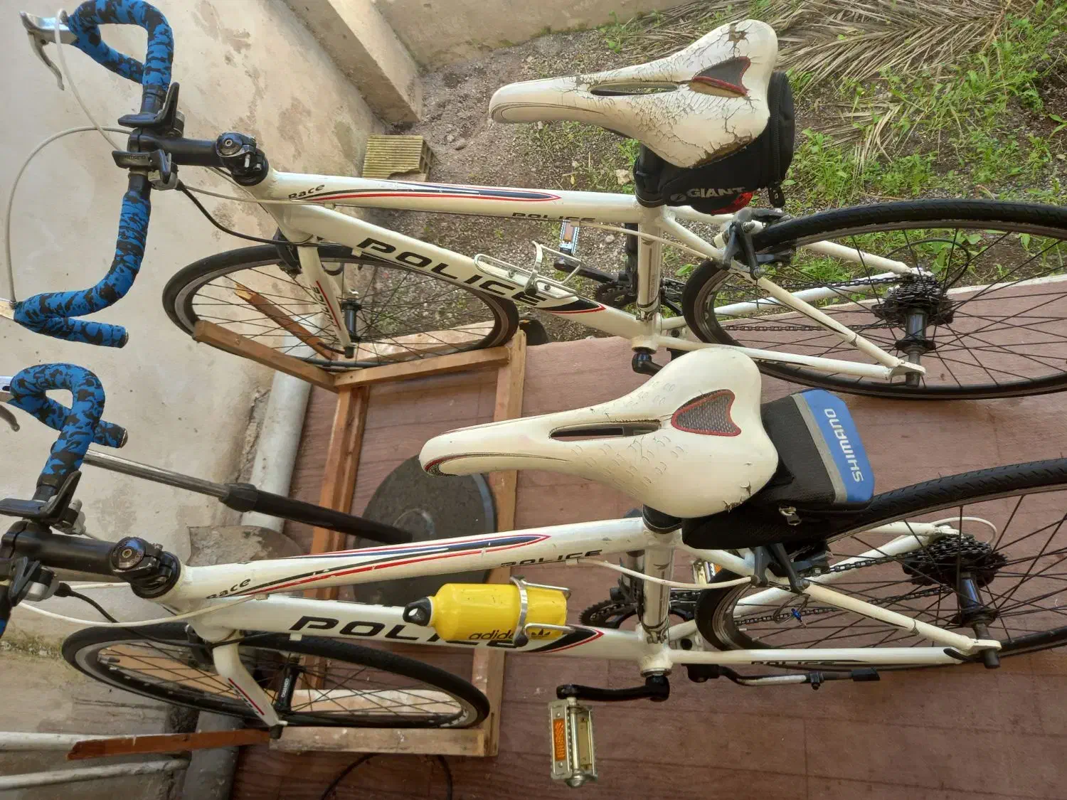 دوچرخه کورسی|دوچرخه، اسکیت، اسکوتر|رشت, دیانتی|دیوار