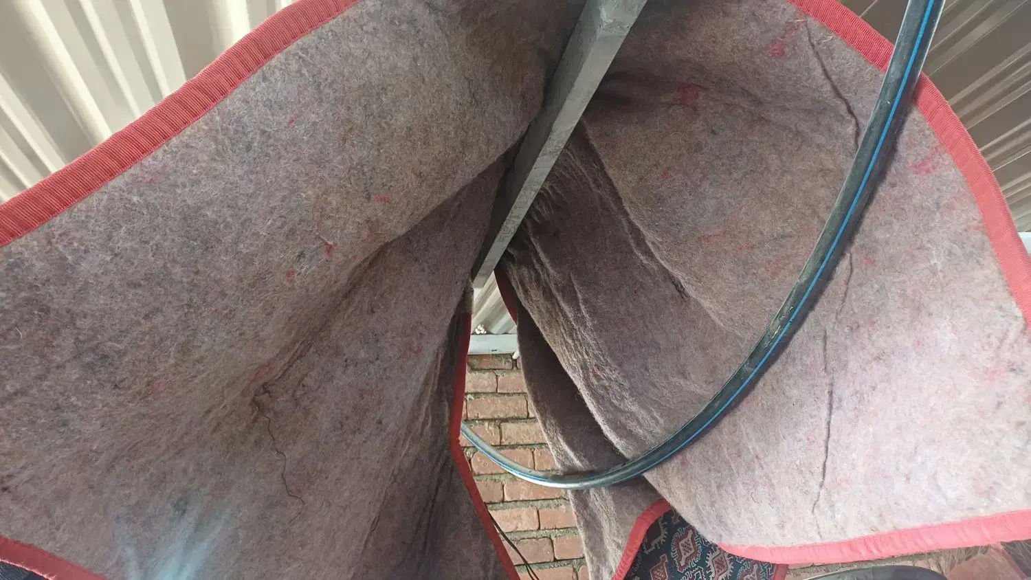 جل اسب نه وگ درحد نو|اسب و تجهیزات اسب‌سواری|مریوان, |دیوار