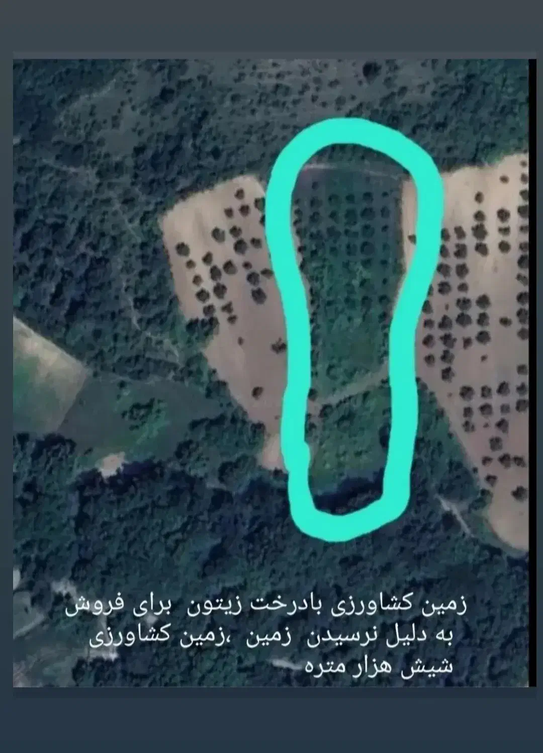 زمین کشاورزی|فروش دفتر صنعتی، کشاورزی، تجاری|کردکوی, |دیوار