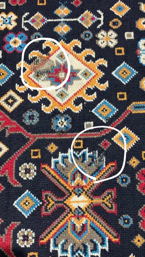 ۲عدد گلیم فرش ۹ متری|گلیم، جاجیم، گبه|کرج, مصباح|دیوار