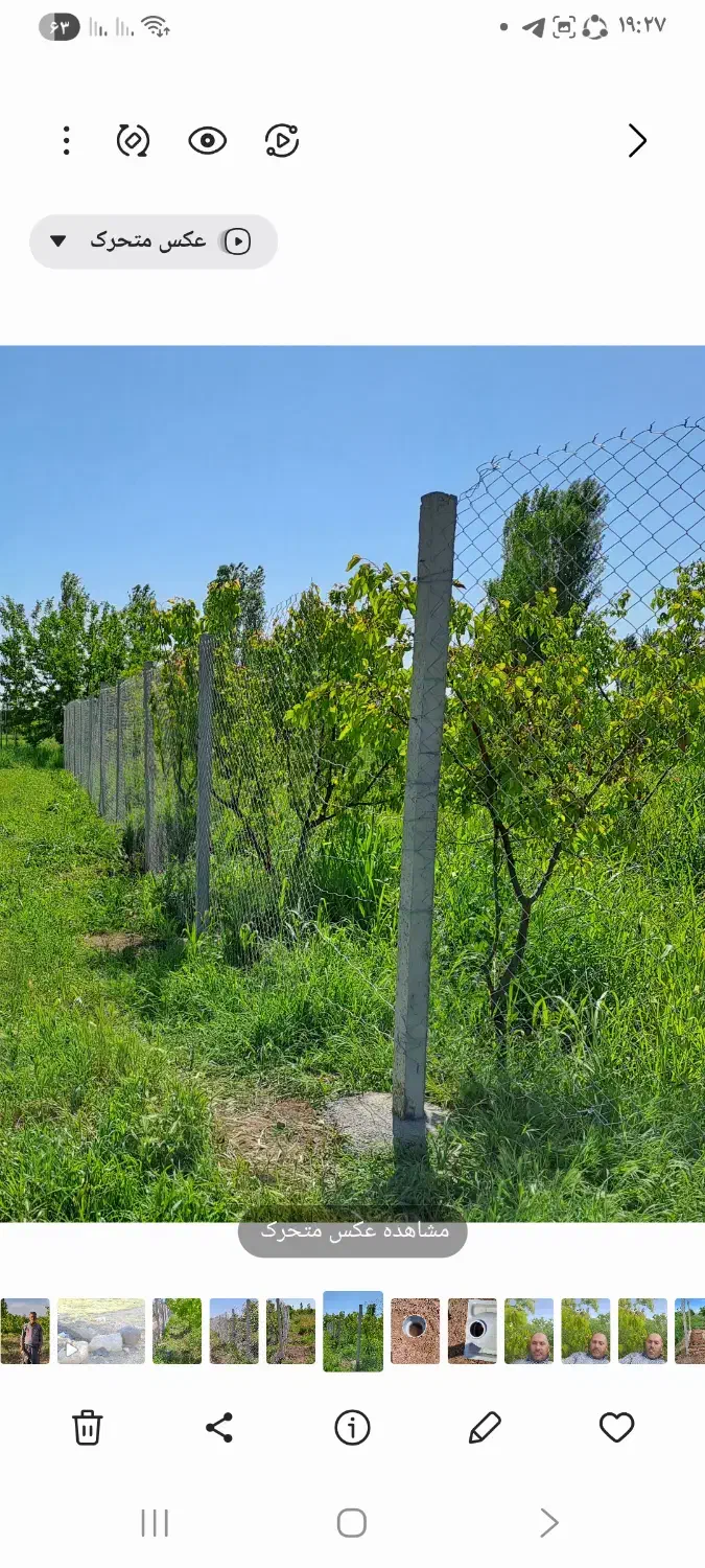 فروش باغ|فروش دفتر صنعتی، کشاورزی، تجاری|شوط, |دیوار