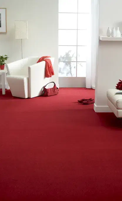 موکت|موکت|بوکان, |دیوار