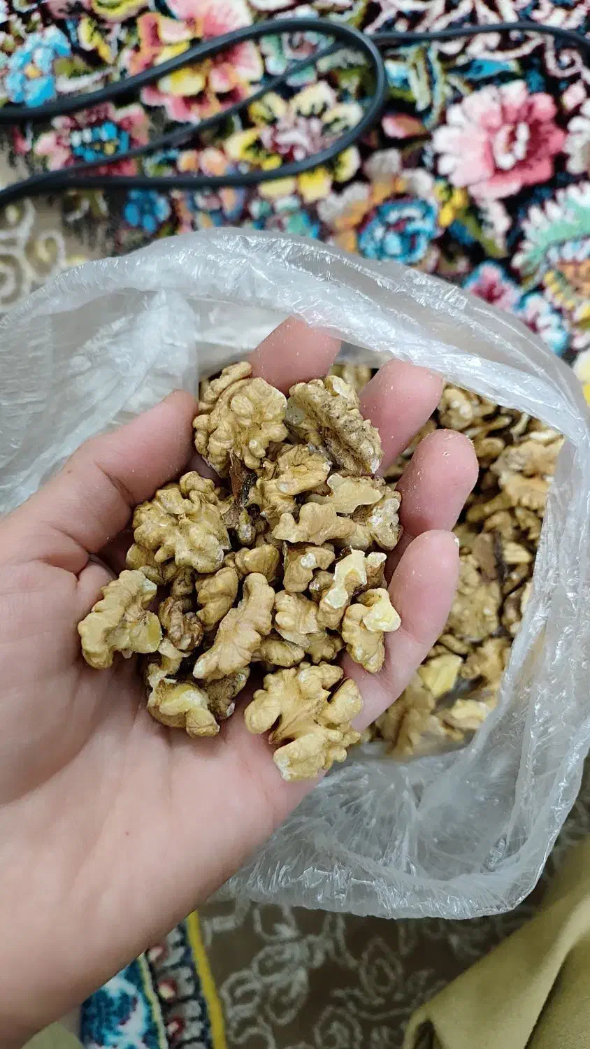 گردو تازه سفید|خوردنی و آشامیدنی|قم, پردیسان|دیوار