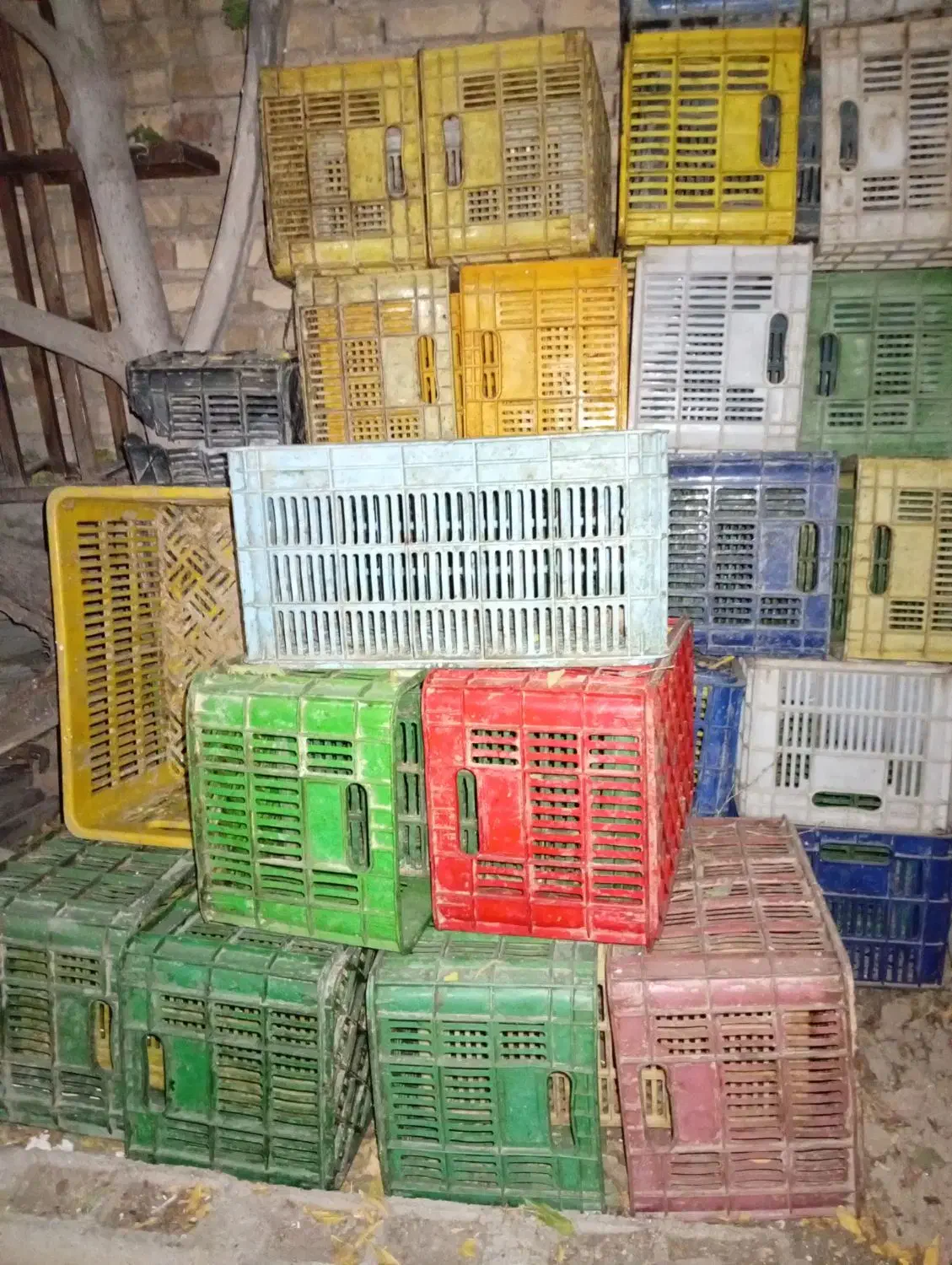 سبد گوجه رنگی|عمده‌فروشی|مرودشت, کوشک|دیوار