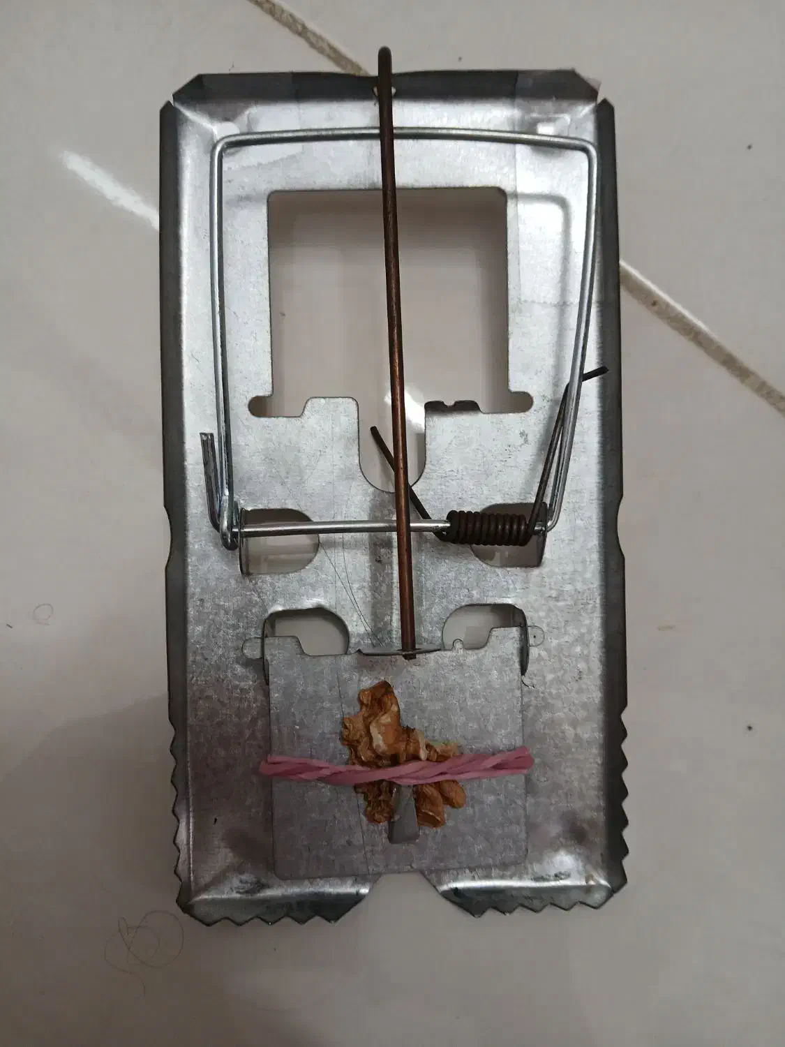 تله موش به تعداد ۲۰ تا|لوازم نظافت|کرج, حصارک بالا|دیوار