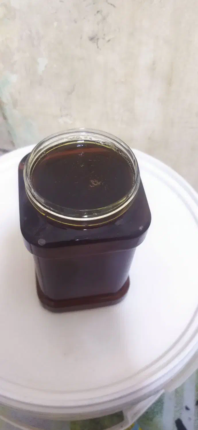 عسل وروغن حیوانی|خوردنی و آشامیدنی|اورامان, |دیوار