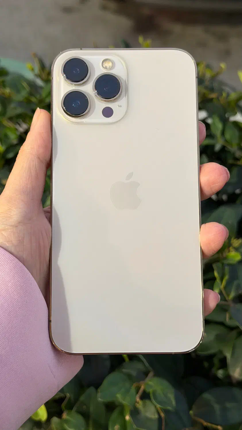 ایفون 13|موبایل|محمودآباد, |دیوار