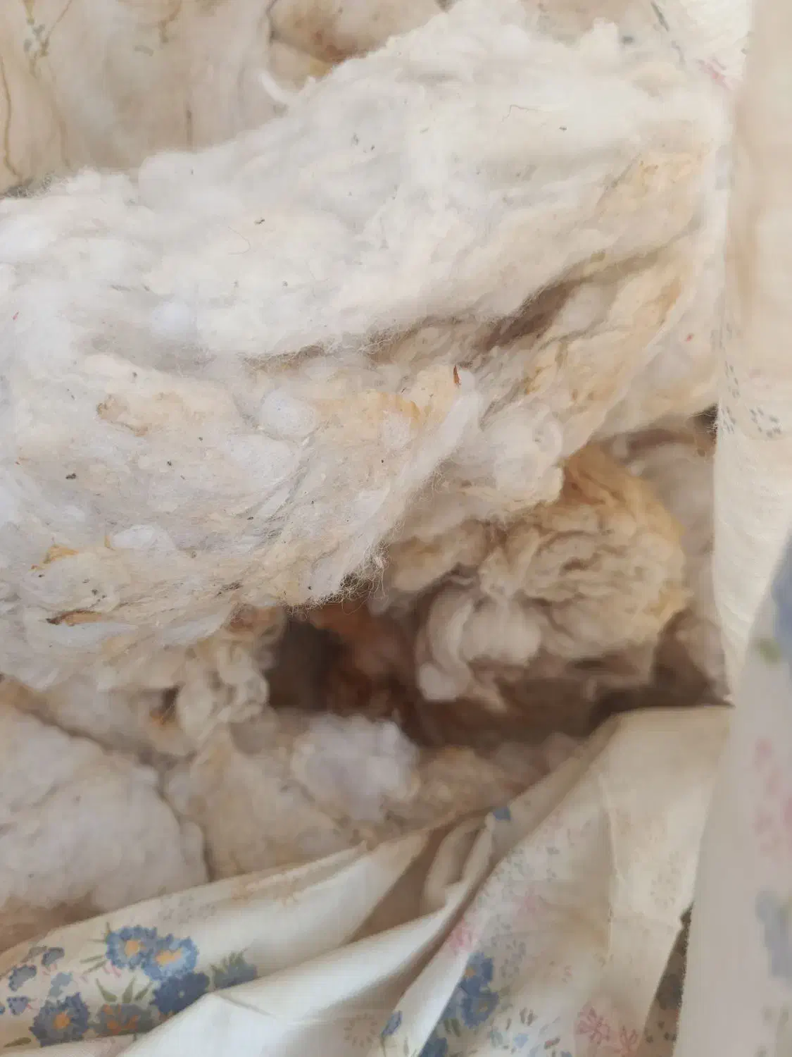 پنبه|رختخواب، بالش، پتو|رفسنجان, |دیوار