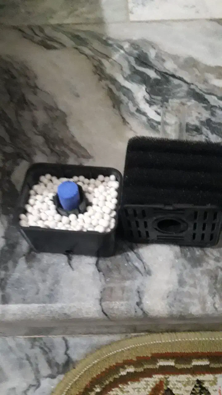 بیوفیلتر سوبو نو|ماهی|بروجرد, |دیوار