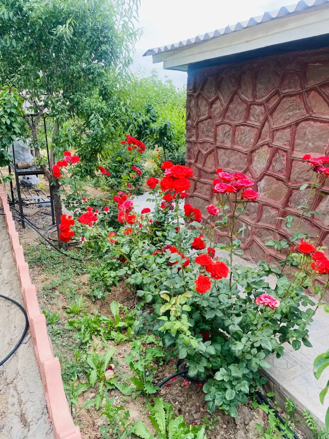 اجاره ویلا باغ دماوند سربندان