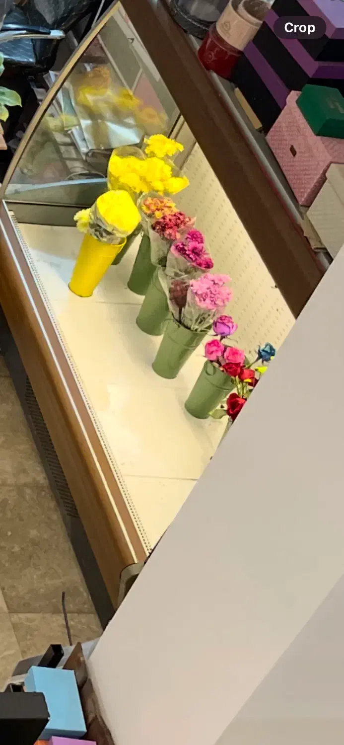 یخچال پرده هوا|فروشگاه و مغازه|سیرجان, |دیوار