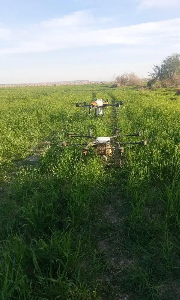 سم پاشی هوایی پهپاد . پهباد|خدمات باغبانی و درختکاری|اندیمشک, |دیوار