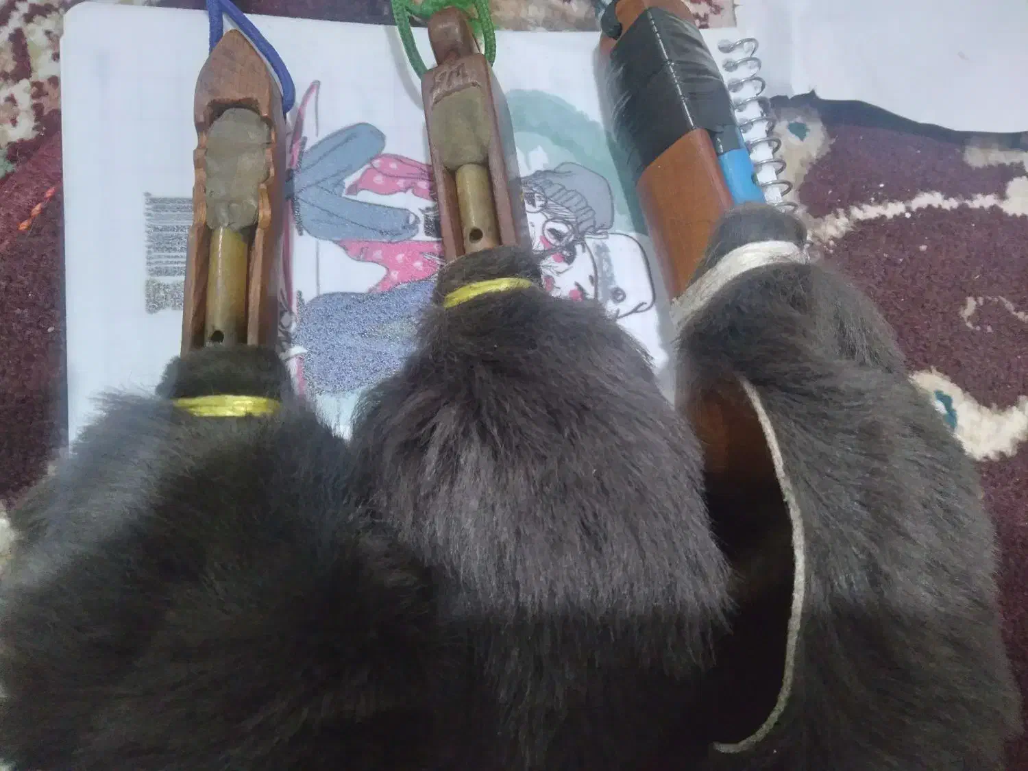 دل بلدرچین|سازهای بادی|اردبیل, |دیوار