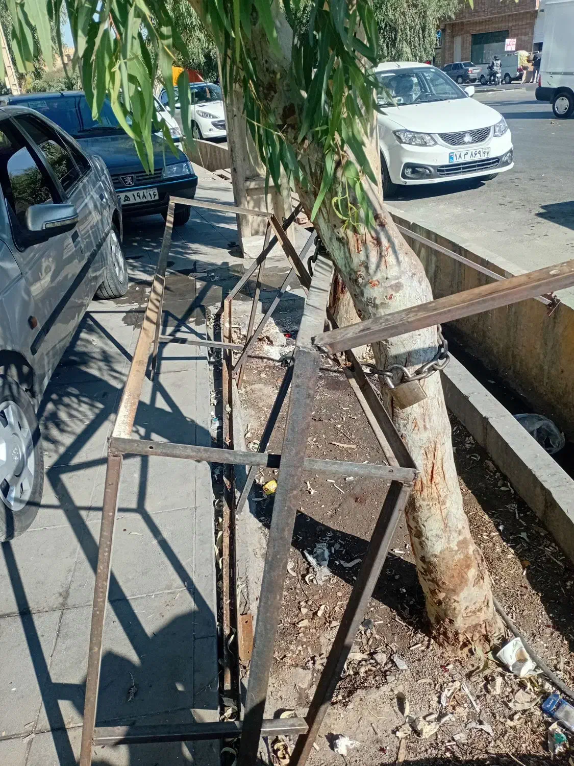 طبق میوه فروشی|فروشگاه و مغازه|قم, حنیف نژاد|دیوار