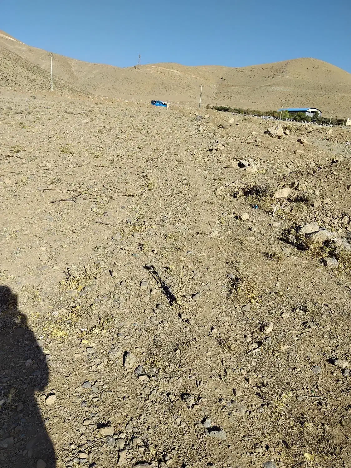 زمین زراعی و کشاورزی|اجارهٔ دفتر صنعتی، کشاورزی، تجاری|کیار, |دیوار