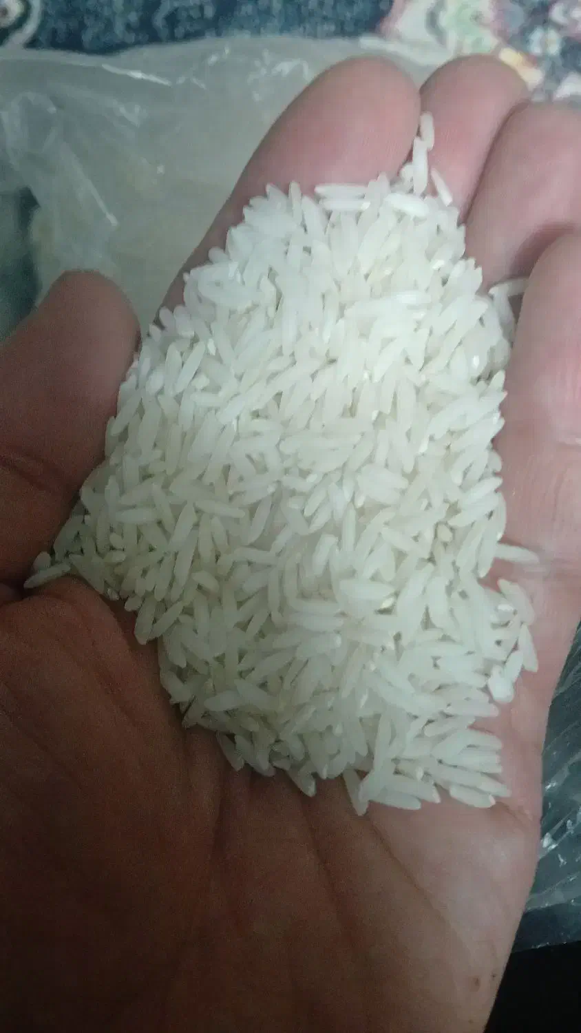 برنج هاشمی درجه یک عطری آستانه اشرفی|خوردنی و آشامیدنی|تهران, بیسیم|دیوار