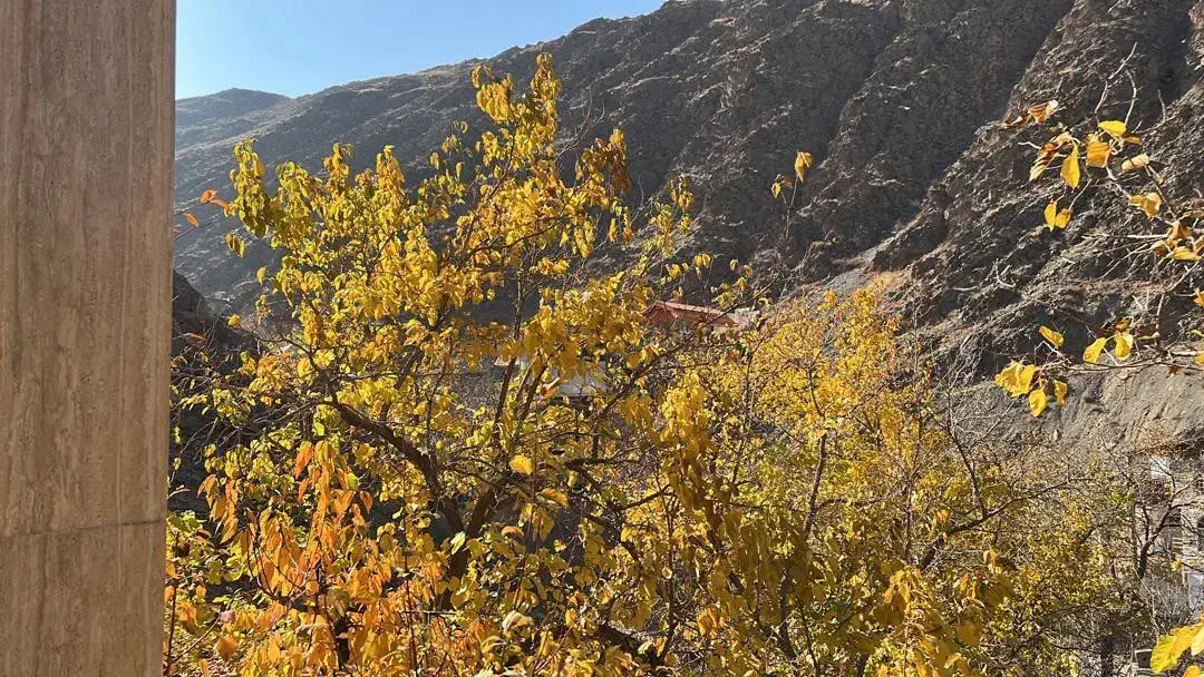 باغ ویلا|فروش خانه و ویلا|شاندیز, |دیوار