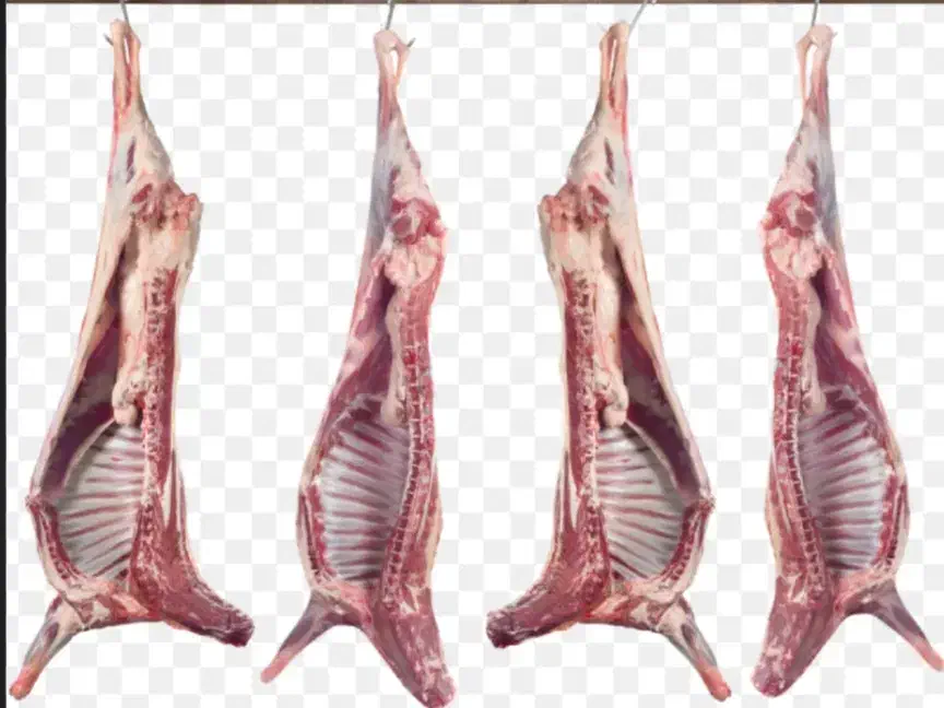 گوشت کهره و بره ((فقط عمده ))|خوردنی و آشامیدنی|قشم, |دیوار