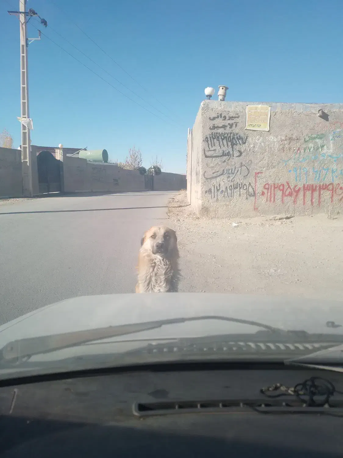 آموزش سقف شیروانی|فعالیت داوطلبانه|دماوند, دماوند|دیوار