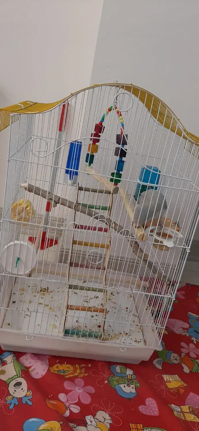 قفس وکوله|لوازم جانبی حیوانات|زنجان, |دیوار