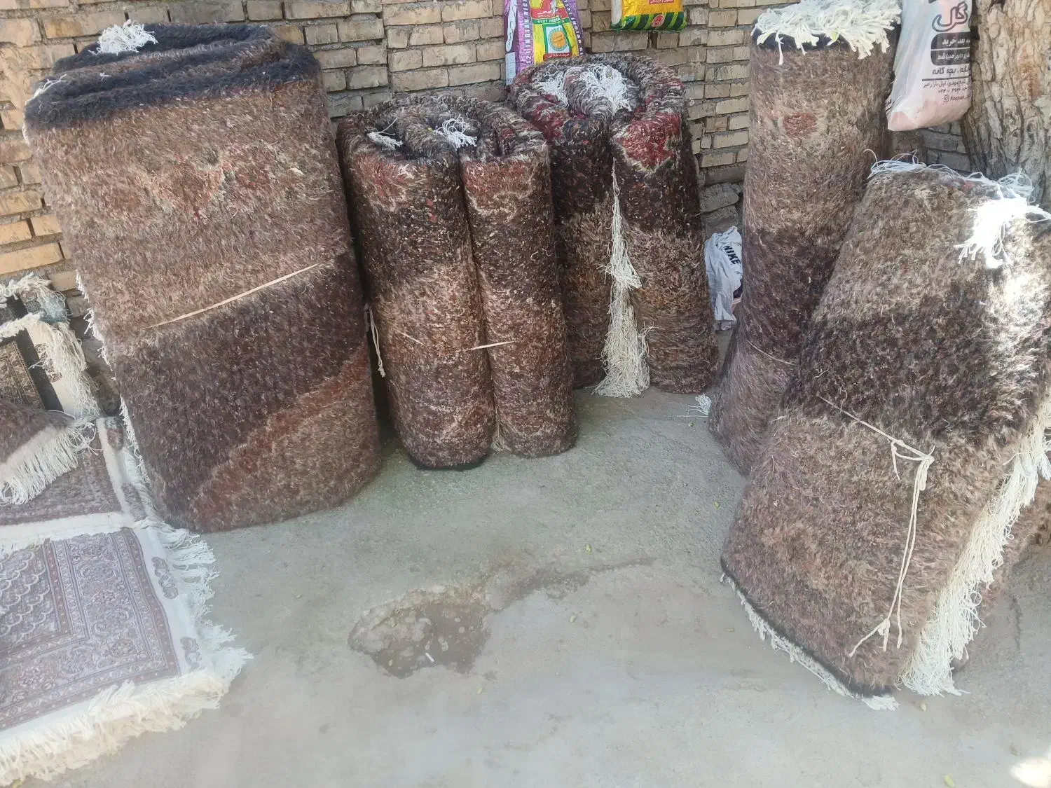 ارسال رایگان بافنده ام چهل رج جفت نه متری|فرش|اردبیل, |دیوار